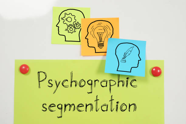 Exploring Psychographic Segmentation Strategies for Marketing Success